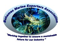 Bahamas Marine Exporters Association