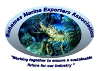 Bahamas Marine Exporters Association Bahamas Marine Exporters Association